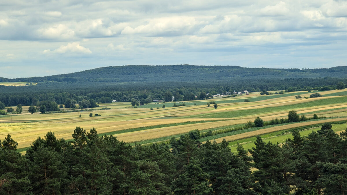 Wielki Dział
