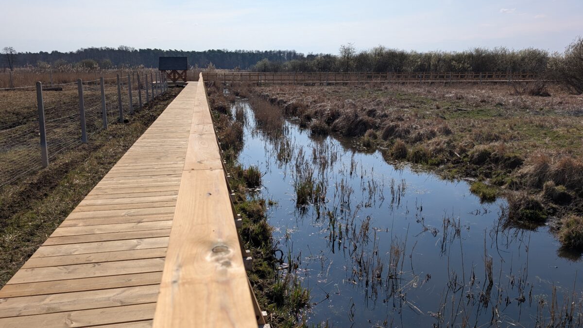 Błota Łęczyńskie